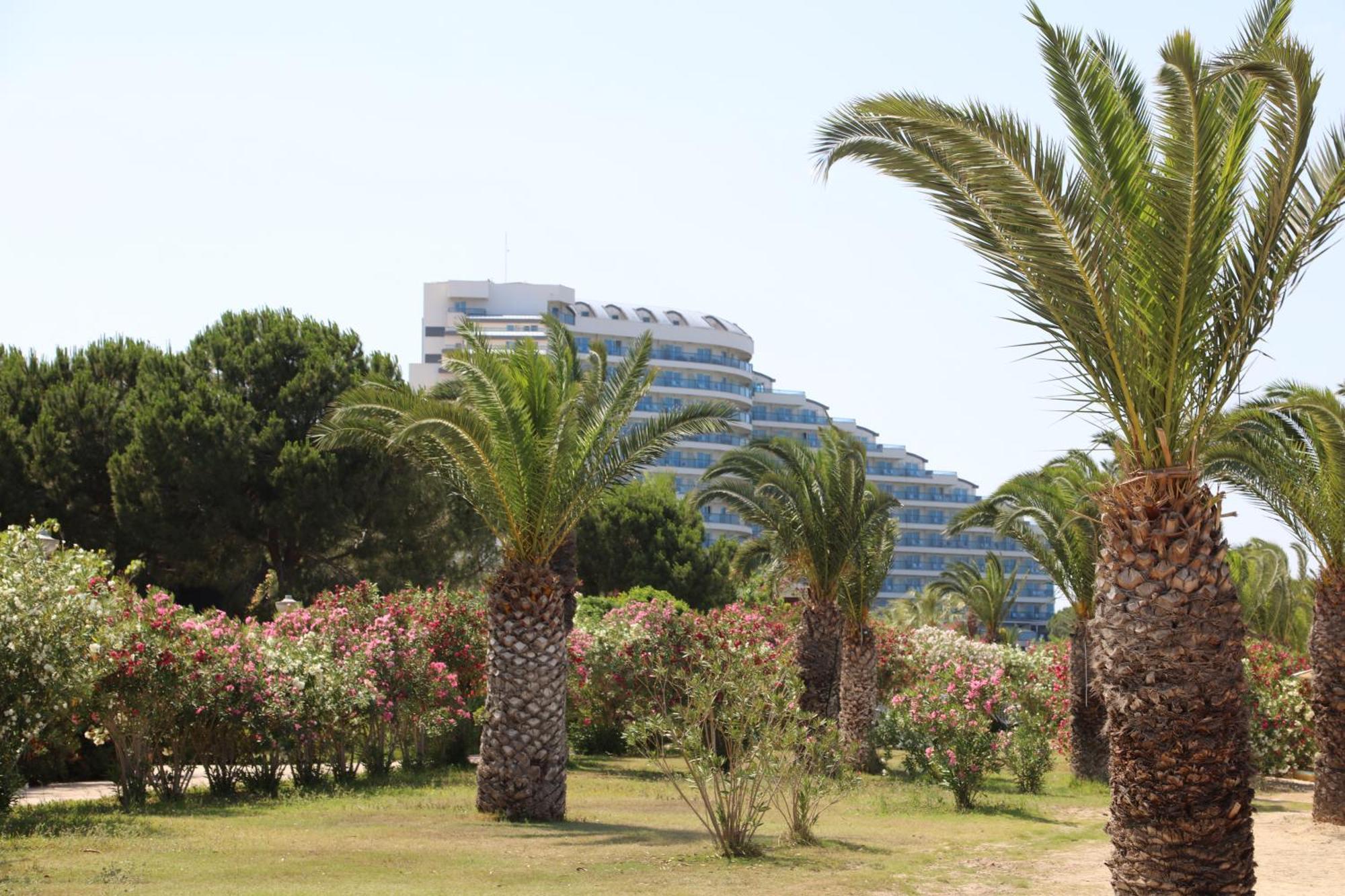 Venosa Beach Resort & Spa Didim Luaran gambar
